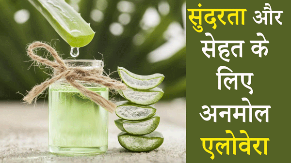 Benefits of Aloe vera : त्वचा और पाचन के लिए एलोवेरा के बेहतरीन फायदे